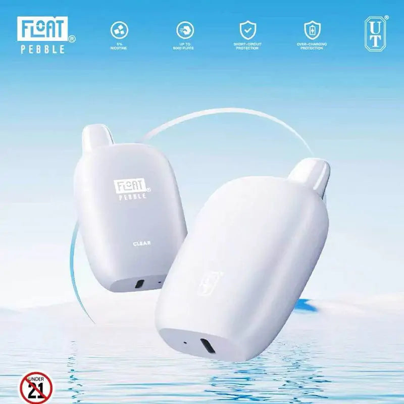 Flum Pebble 6000 Puffs Rechargeable Disposable Vape