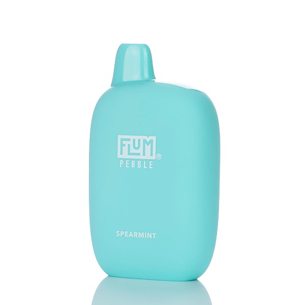 Flum Pebble 6000 Puffs Rechargeable Disposable Vape  Vaping Land