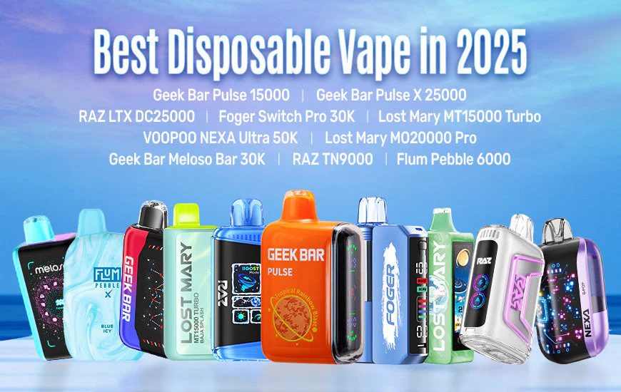 Top 10 Best Disposable Vapes in 2025 – Vaping Land