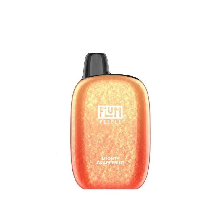 Flum Pebble 6000 Puffs Rechargeable Disposable Vape – Vaping Land
