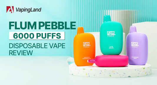Flum-Pebble-6000-Puffs-Disposable-Vape-Review