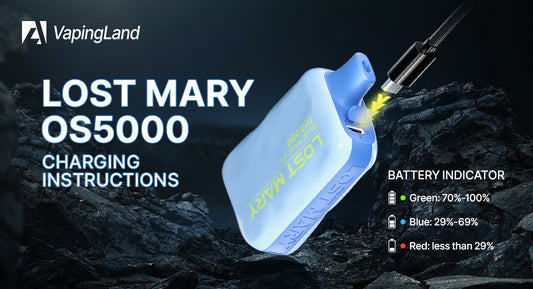 Lost-Mary-OS5000-Charging-Instructions-A-Step-by-Step-Guide