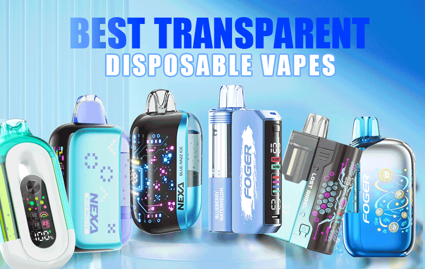 best transparent disposables