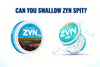 can you swallow zyn spit