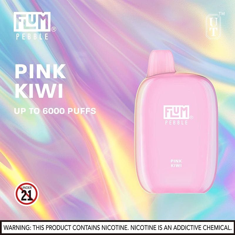 Flum Pebble 6000 Puffs Rechargeable Disposable Vape