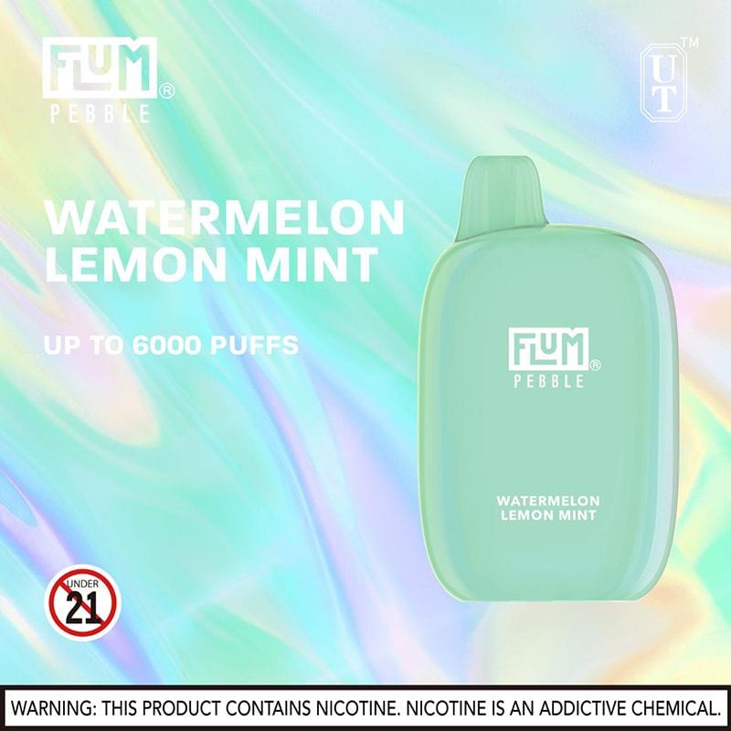 Flum Pebble 6000 Puffs Rechargeable Disposable Vape