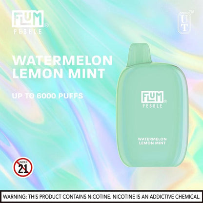 Flum Pebble 6000 Puffs Rechargeable Disposable Vape