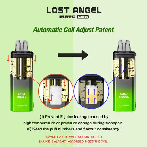Lost Angel Mate 50,000 Puffs Disposable Vape Kit