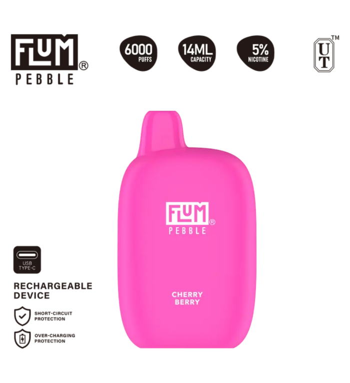 Flum Pebble 6000 Puffs Rechargeable Disposable Vape - Image 2
