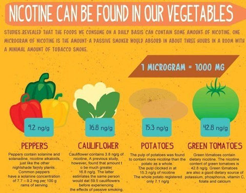 the nicotine content of common vegetables