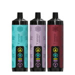 VAPGO Chill Shisha 30K Disposable Vape (Sale)