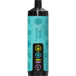 VAPGO Chill Shisha 30K Disposable Vape (Sale) - Image 3