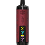 VAPGO Chill Shisha 30K Disposable Vape (Sale) - Image 10